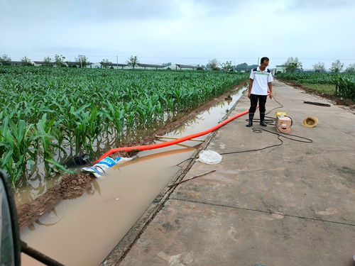 中國農業科學院作物科學研究所農作物種子經營 科技創新與產業服務